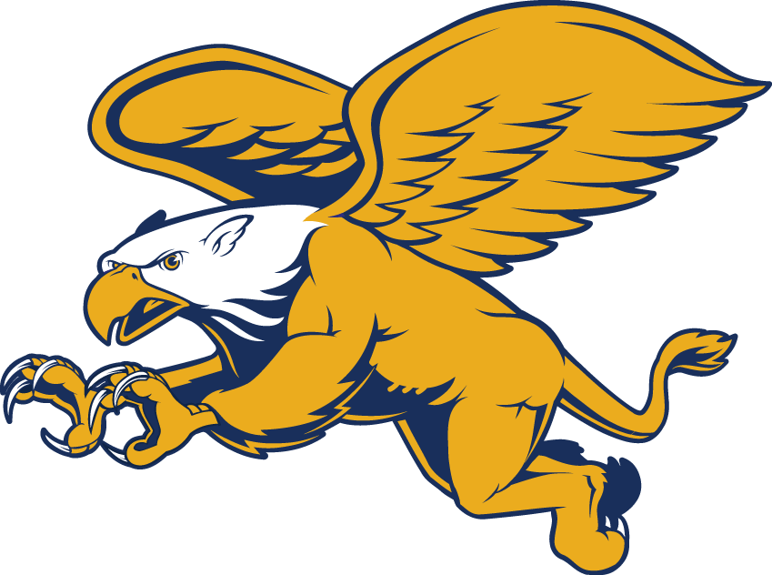 Canisius Golden Griffins 2006-Pres Secondary Logo diy iron on heat transfer